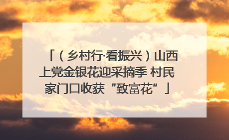 （乡村行·看振兴）山西上党金银花迎采摘季 村民家门口收获“致富花”