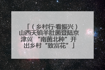 （乡村行·看振兴）山西天镇羊肚菌登陆京津冀 “南菌北种”开出乡村“致富花”