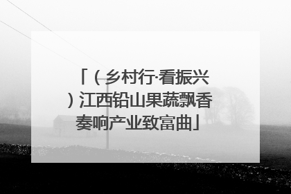 （乡村行·看振兴）江西铅山果蔬飘香 奏响产业致富曲