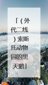 （外代二线）索斯托动物园的黑天鹅