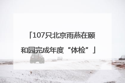 107只北京雨燕在颐和园完成年度“体检”
