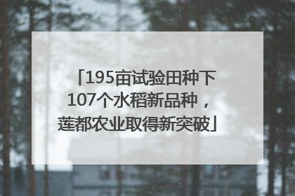 195亩试验田种下107个水稻新品种，莲都农业取得新突破