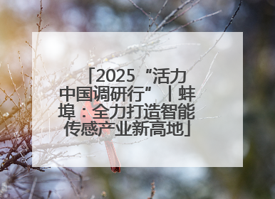 2025“活力中国调研行”丨蚌埠：全力打造智能传感产业新高地