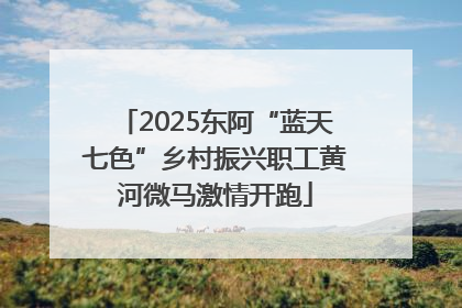 2025东阿“蓝天七色”乡村振兴职工黄河微马激情开跑