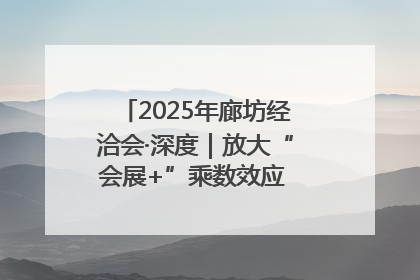 2025年廊坊经洽会·深度｜放大“会展+”乘数效应 打造消费新场景