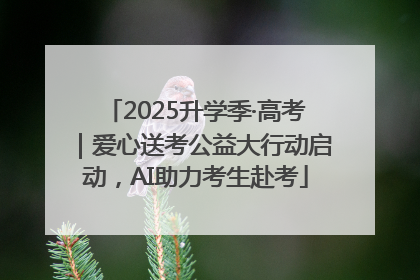 2025升学季·高考｜爱心送考公益大行动启动，AI助力考生赴考