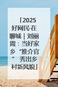 2025好网民·在聊城｜刘丽霞：当好家乡“推介官” 秀出乡村新风貌