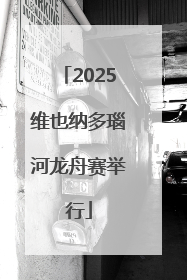 2025维也纳多瑙河龙舟赛举行