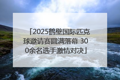 2025鹤壁国际匹克球邀请赛圆满落幕 300余名选手激情对决