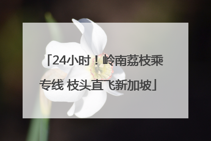 24小时！岭南荔枝乘专线 枝头直飞新加坡
