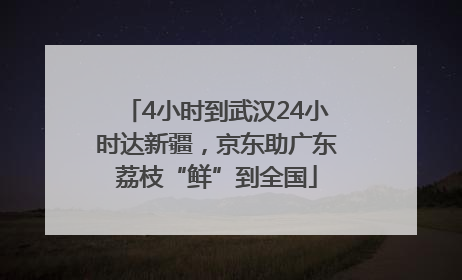 4小时到武汉24小时达新疆，京东助广东荔枝“鲜”到全国