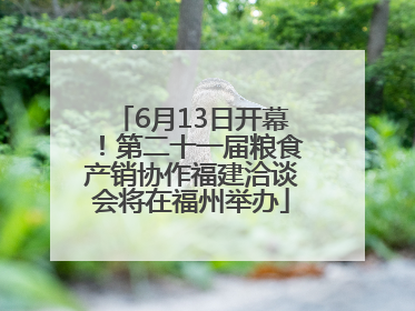 6月13日开幕！第二十一届粮食产销协作福建洽谈会将在福州举办