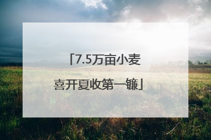 7.5万亩小麦喜开夏收第一镰