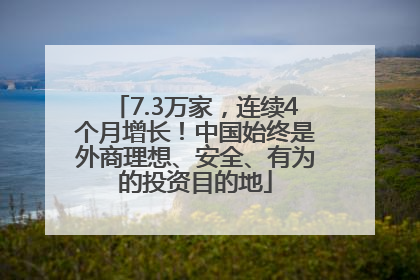7.3万家，连续4个月增长！中国始终是外商理想、安全、有为的投资目的地