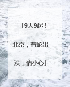 9天9起！北京，有蛇出没，请小心