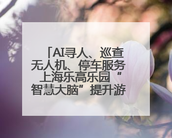 AI寻人、巡查无人机、停车服务 上海乐高乐园“智慧大脑”提升游园体验