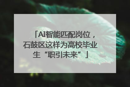 AI智能匹配岗位，石鼓区这样为高校毕业生“职引未来”