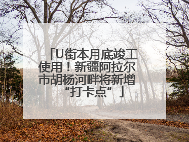 U街本月底竣工使用！新疆阿拉尔市胡杨河畔将新增“打卡点”